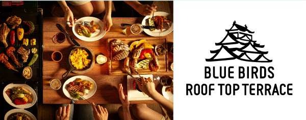 BLUE BIRDS ROOF TOP TERRACE